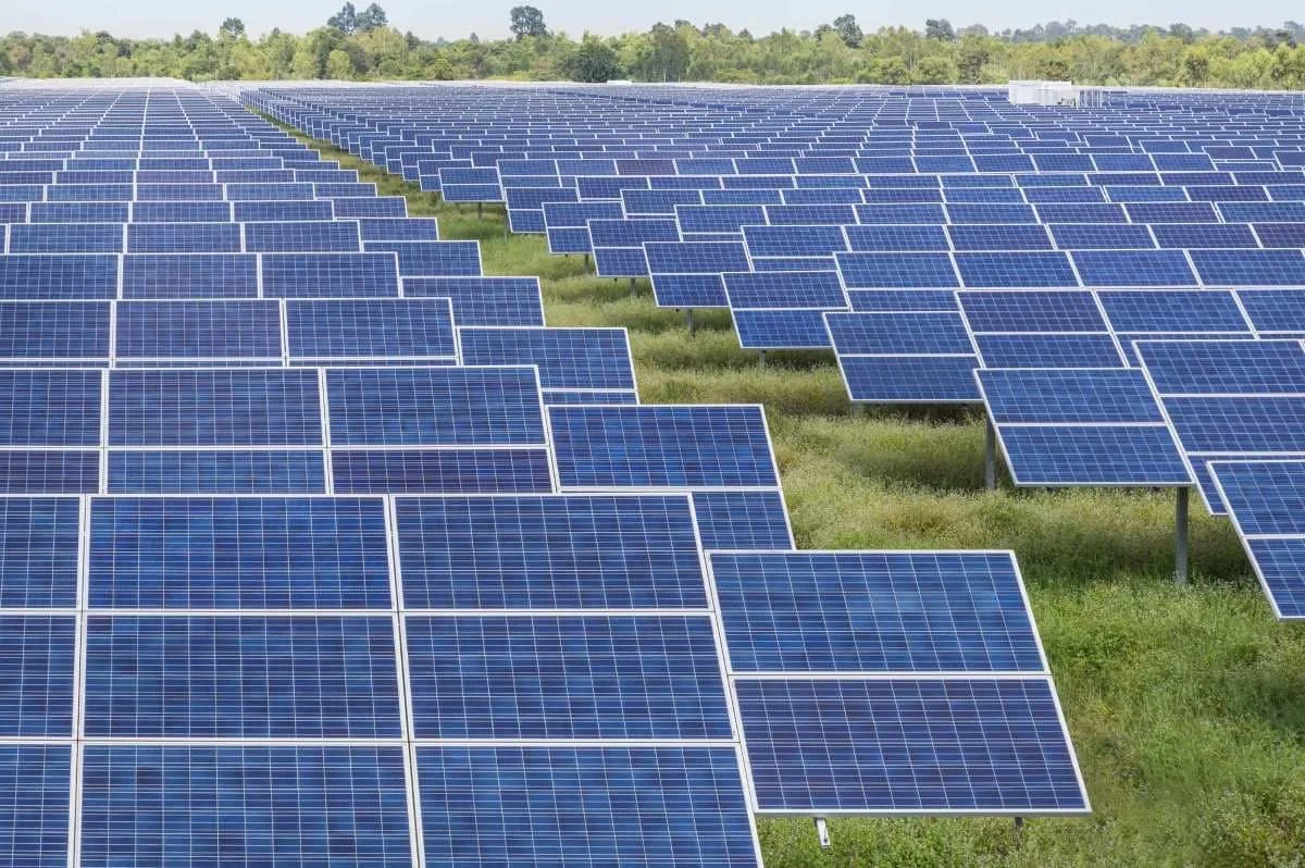 Aerial view of a forest area in Yucatan where solar parks were planned
