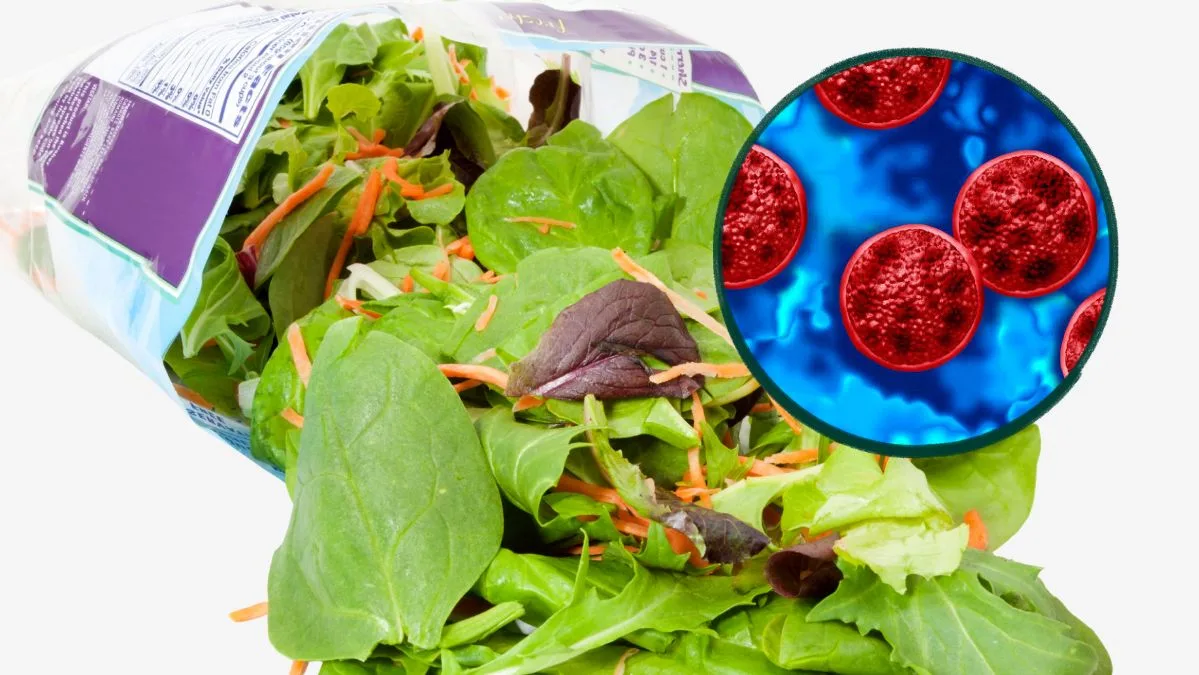 Cyclospora infections in mexican lettuce