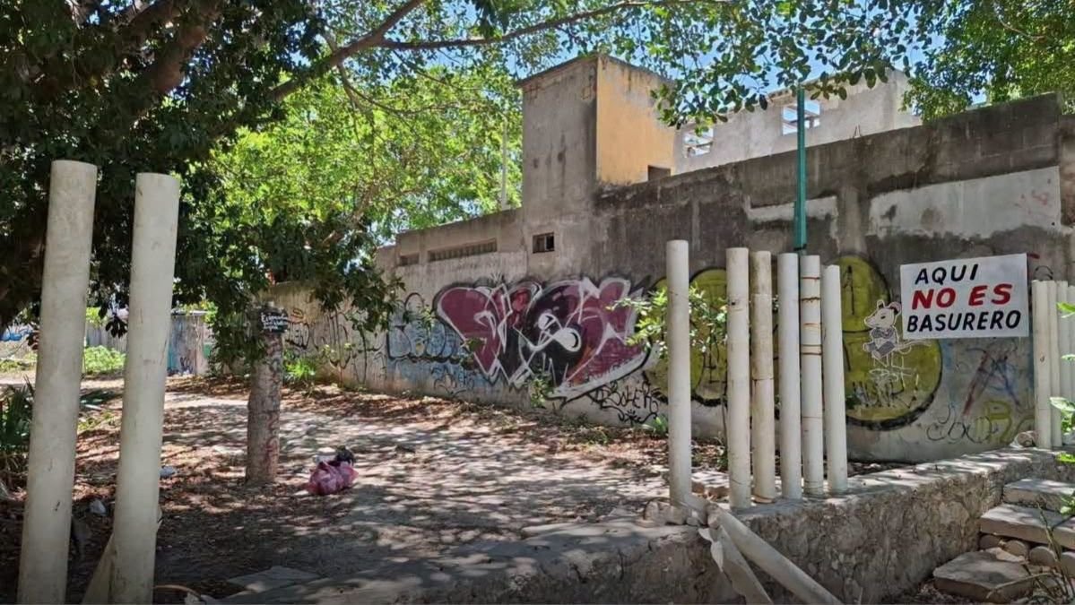 Dog found dead tied up near cenote