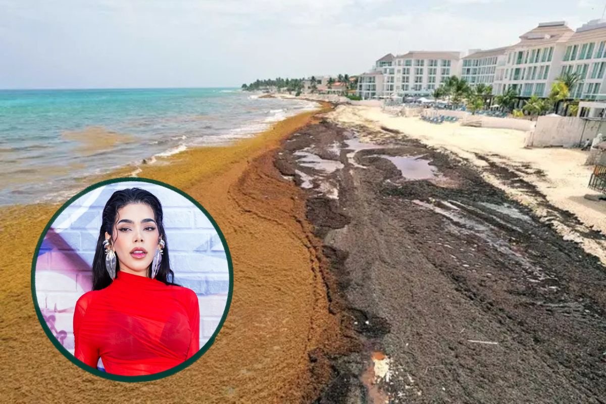 Kenia Os and sargassum spending in Playa del Carmen