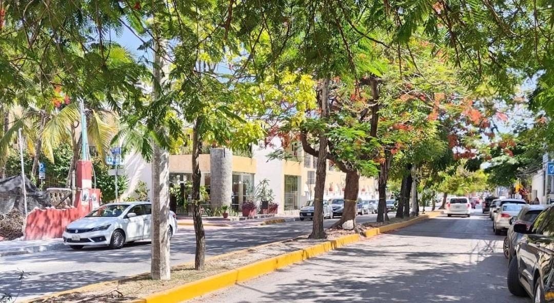 Playa del Carmen city maintenance plan