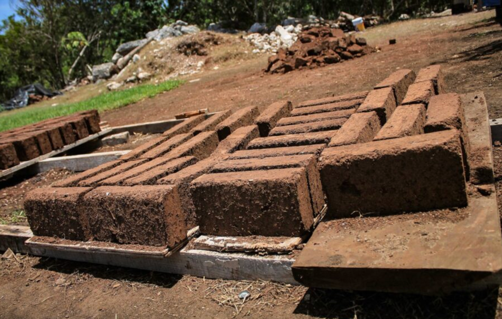 cancun animal rescue plans to build shelter out of sargablock