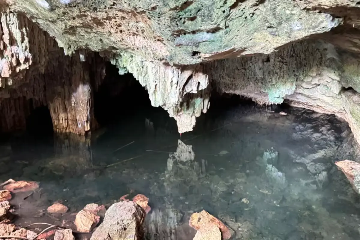 A neglected cenote surrounded by overgrown vegetation and litter in the Misión del Carmen neighborhood of Playa del Carmen.