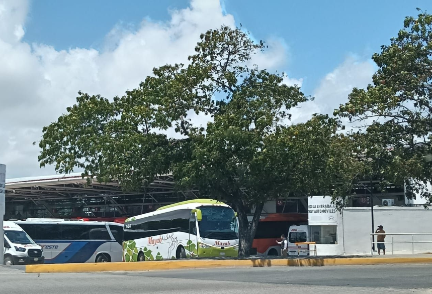 Police officers and canine units patrol an ADO bus terminal in Cancún, Quintana Roo