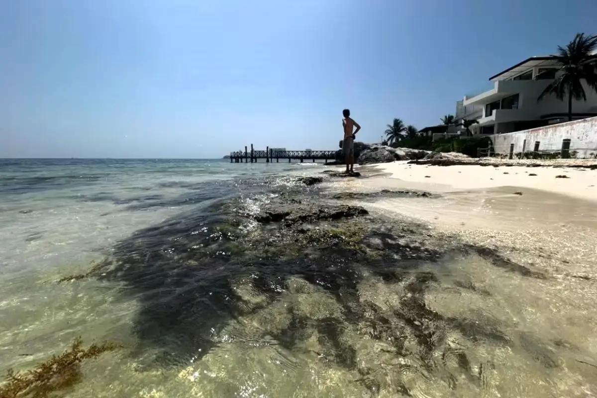Aerial view of eroded beach in Akumal, Quintana Roo, with hotel structures nearby