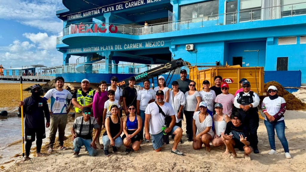 Members of AMEXME and Grupo Dakatso clean sargassum from Playa Fundadores in Playa del Carmen