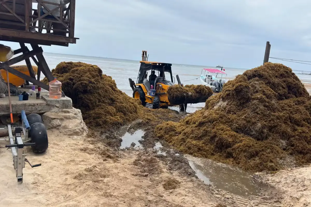 Boat operators in Playa del Carmen stand near their boats on a beach covered with sargasso seaweed