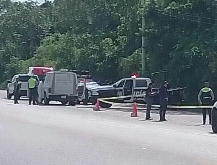 Crime scene tape cordoning off an area of brush along a highway