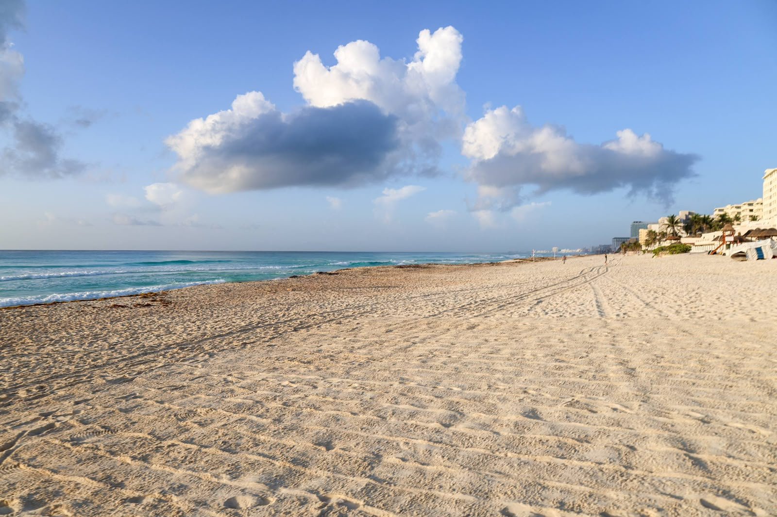 Workers cleaning sargassum from a Cancún beach with machinery