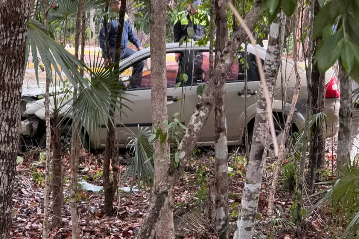 A car rests in vegetation after skidding off the road in Aldea Zama, Tulum.