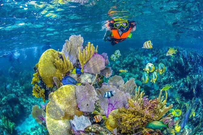 Children observing a coral reef in the Caribbean Sea