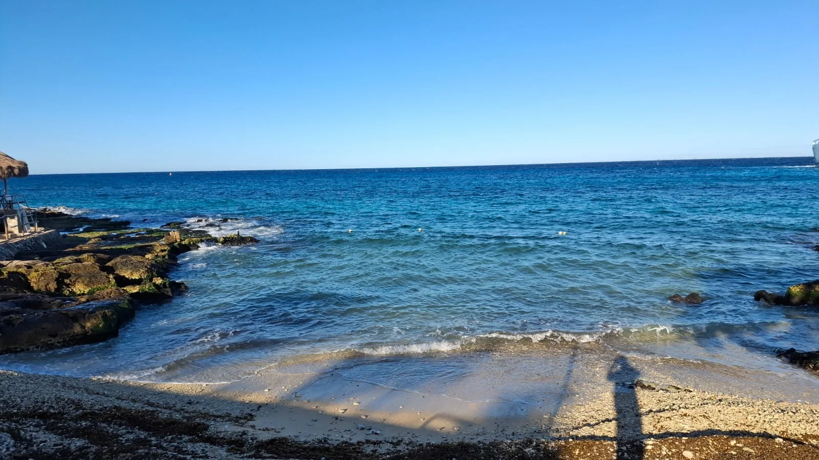 Workers collecting sargassum seaweed on a beach in Cozumel, Quintana Roo