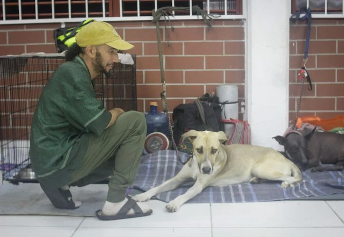 A dog and a cat inside a temporary shelter set up during hurricane season in Quintana Roo, Mexico.