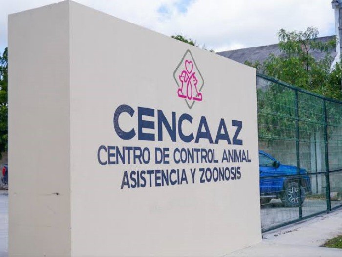Dogs in kennels at the CENCAAZ animal control center in Playa del Carmen