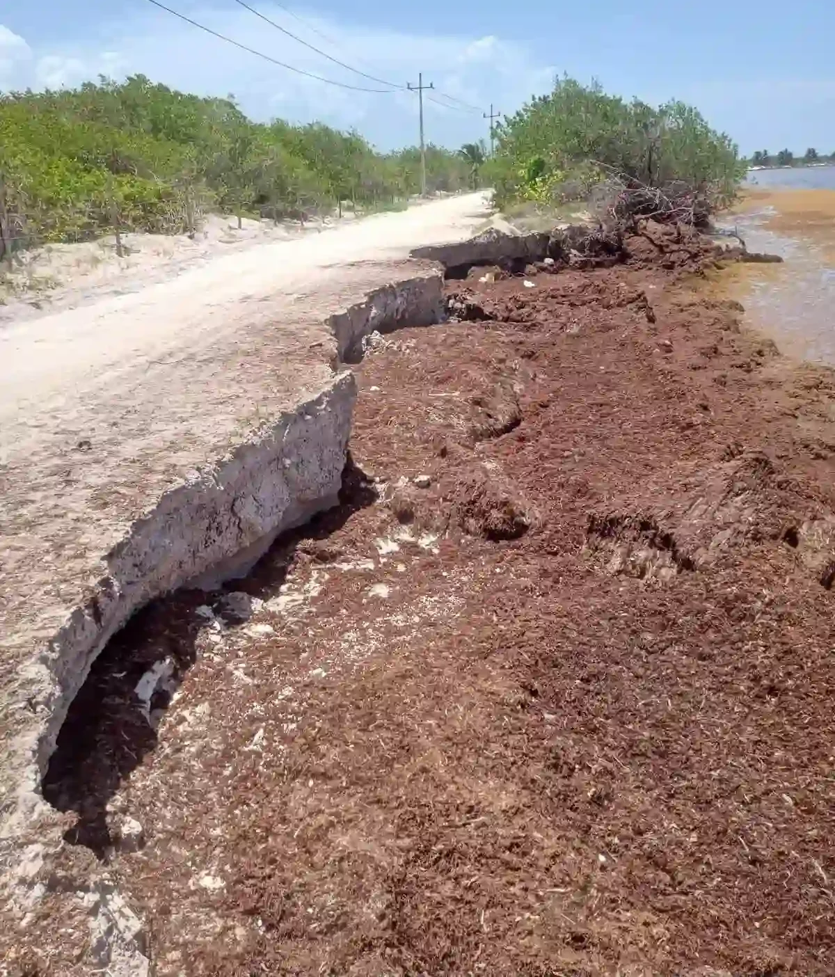 A coastal road in Mahahual with one lane eroded away due to sargassum accumulation