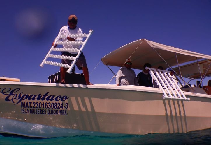 A researcher examining marine life in the Caribbean Sea off Quintana Roo