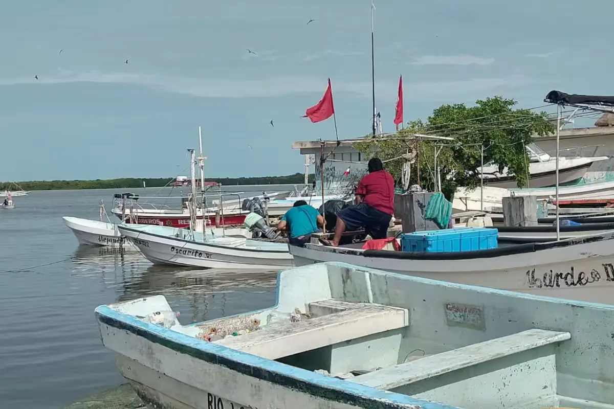 Mexican Navy, Conapesca, and Sepasy officials during an anti-poaching operation in Yucatán
