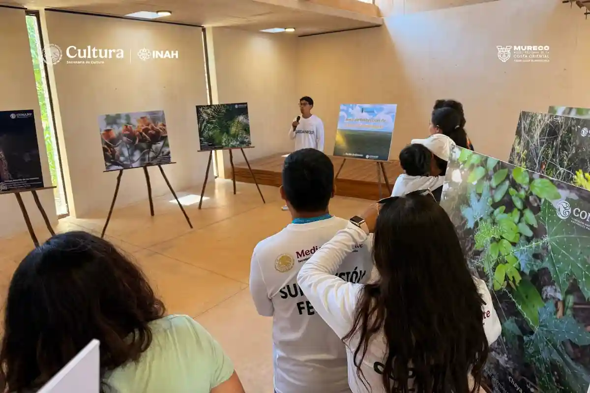 A photograph displayed at the Museo Regional de la Costa Oriental showing a bird from Tulum National Park