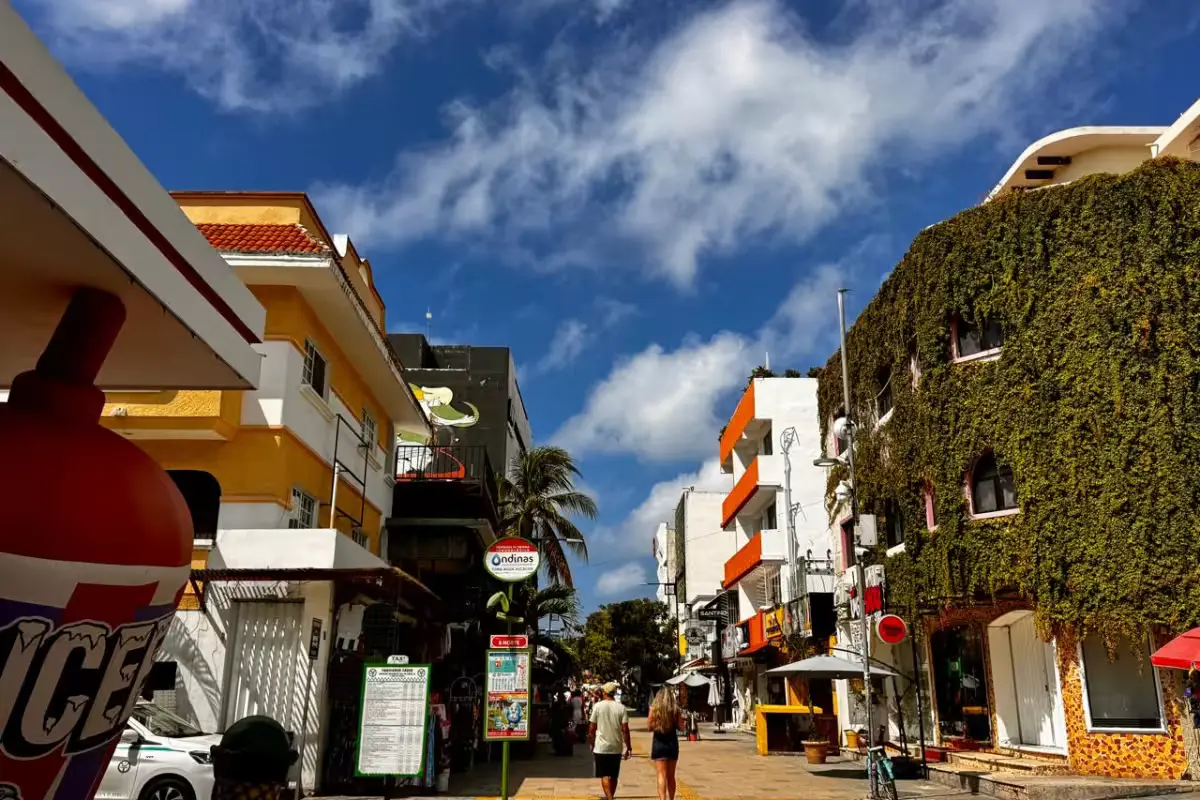 Engineers and specialists discuss tourism diversification in Playa del Carmen