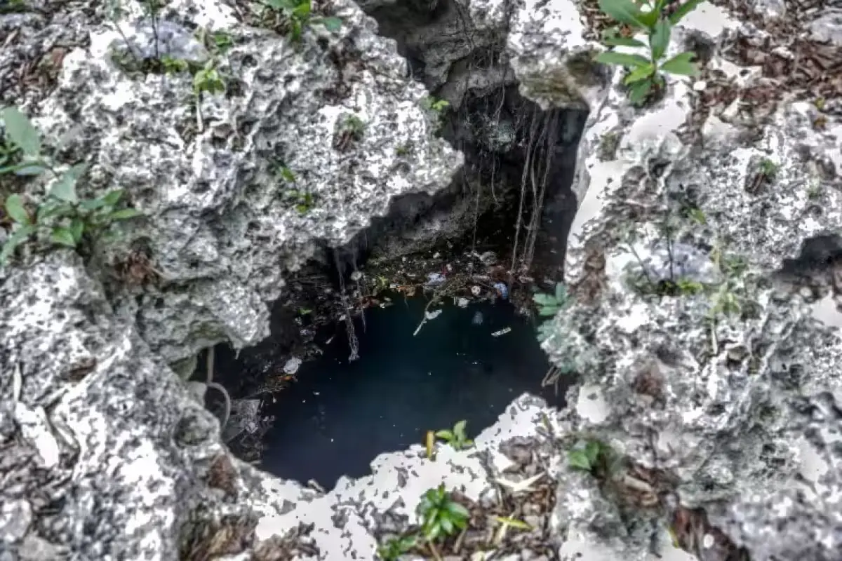 Turbid water with foul odor in a cenote in Playa del Carmen's Luis Donaldo Colosio neighborhood