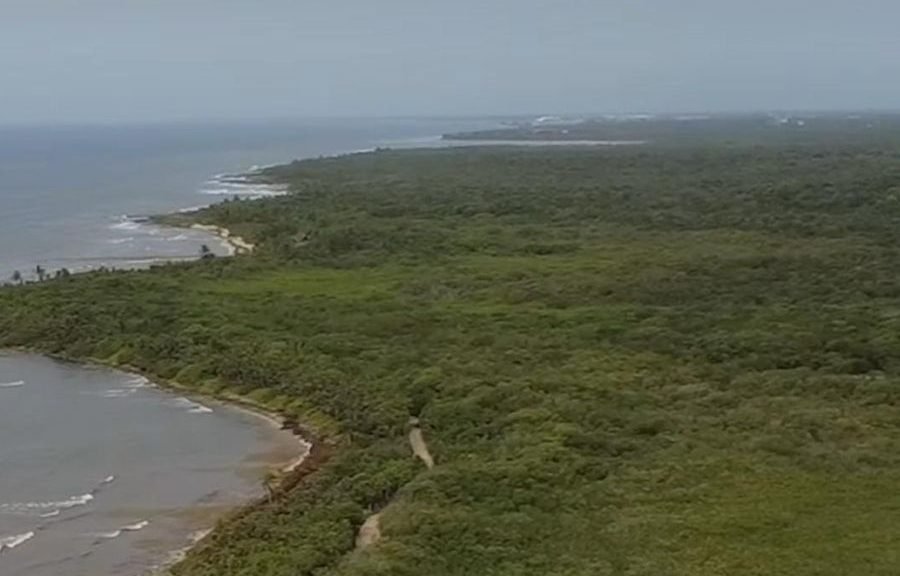 Aerial view of lush mangrove forest along the coastline at Punta Venado, Playa del Carmen