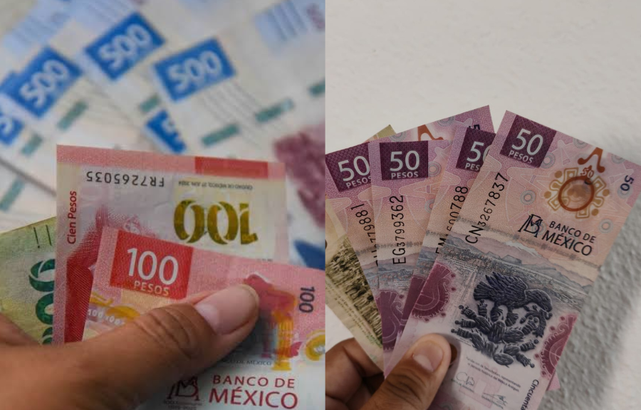 Labor officials in Quintana Roo inspect company documents for profit sharing compliance