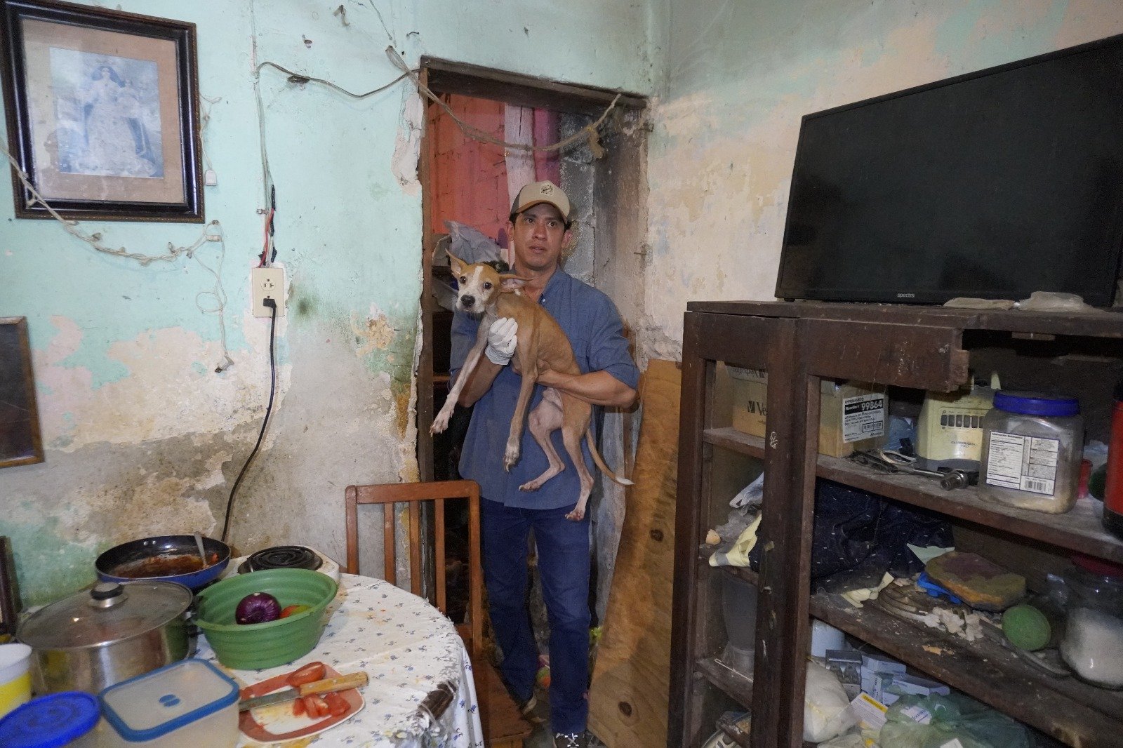 Several dogs in cages at an animal rescue facility in Merida