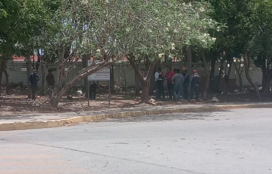 Neighbors gather at a park in Villamar Uno, Playa del Carmen, to protest tree removal during renovation.