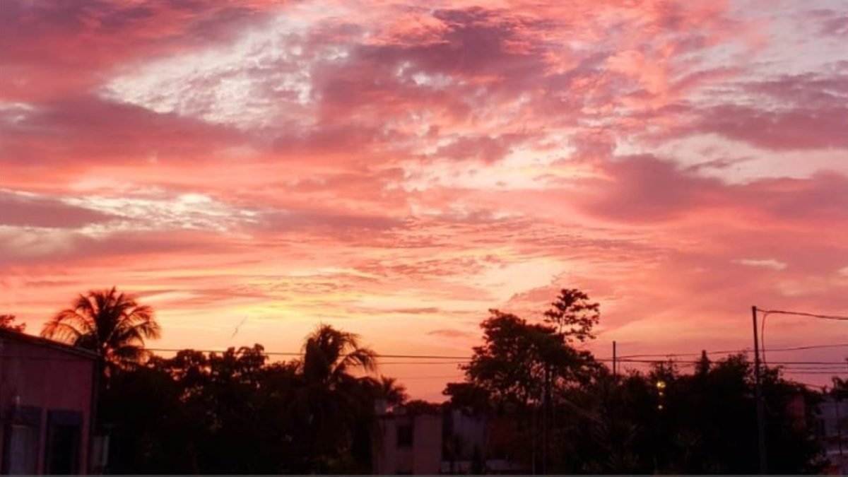 Brumous sky over a Yucatan landscape due to Saharan dust particles