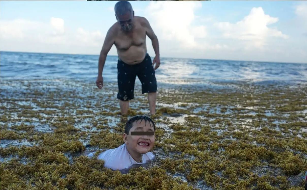 Mexican Navy personnel and volunteers collect sargassum on a beach in Mahahual, Quintana Roo