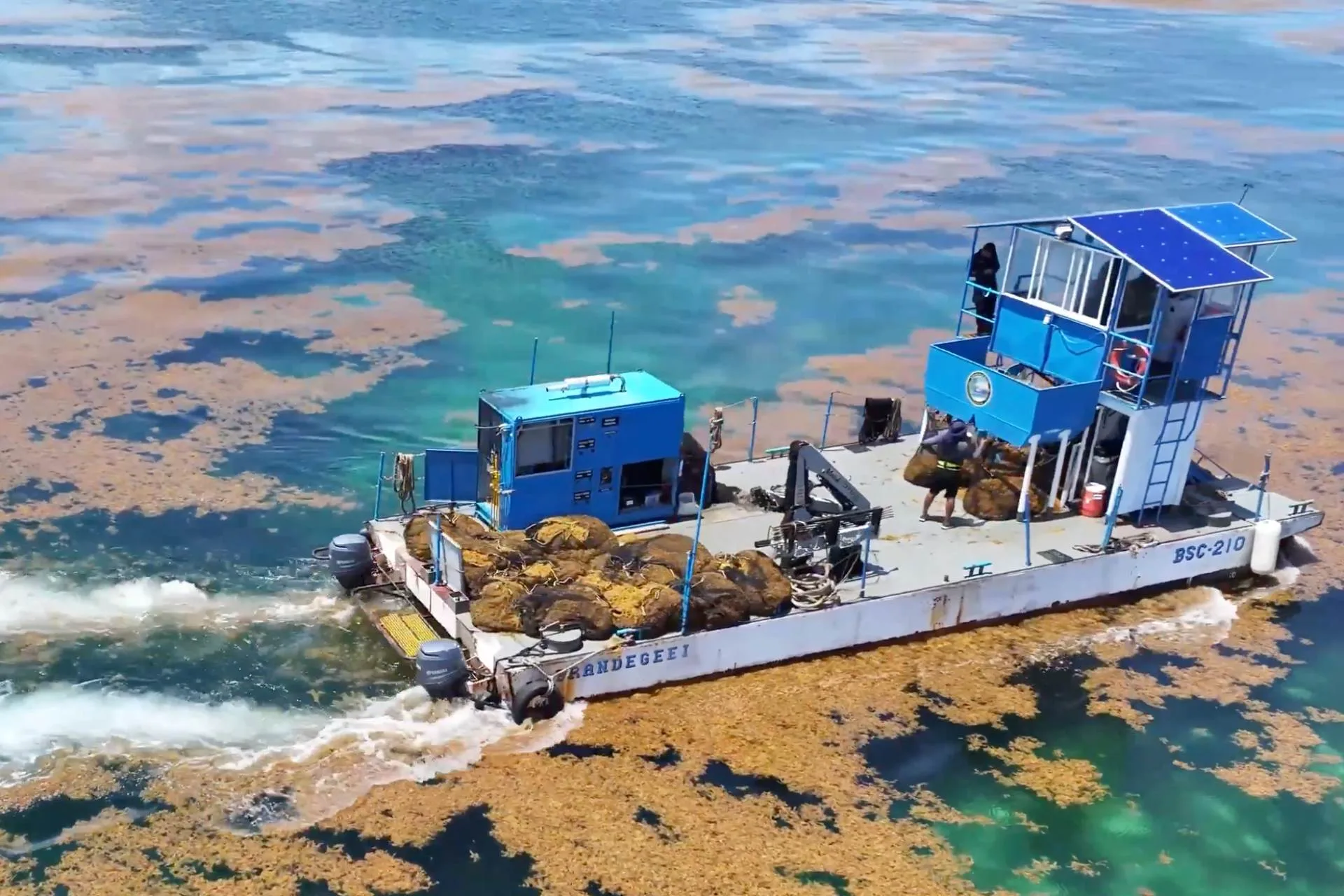 A boat collecting sargassum from the sea near a beach in Quintana Roo, Mexico