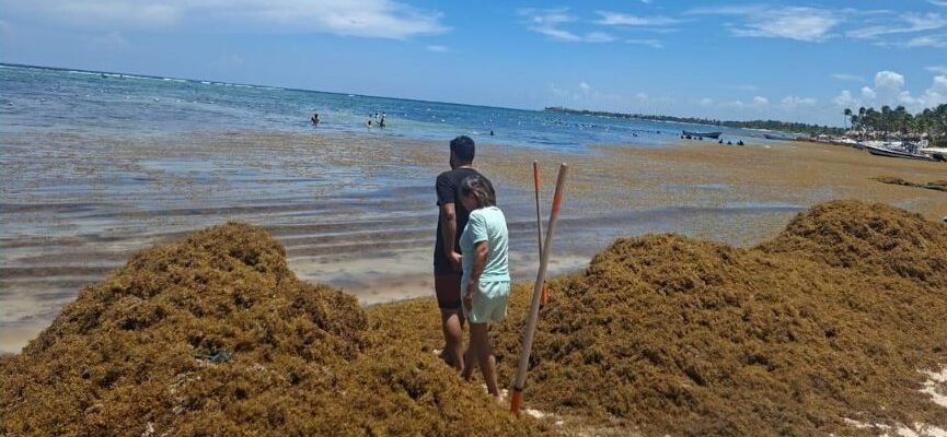 Workers remove sargassum seaweed from the beach in Akumal, Quintana Roo
