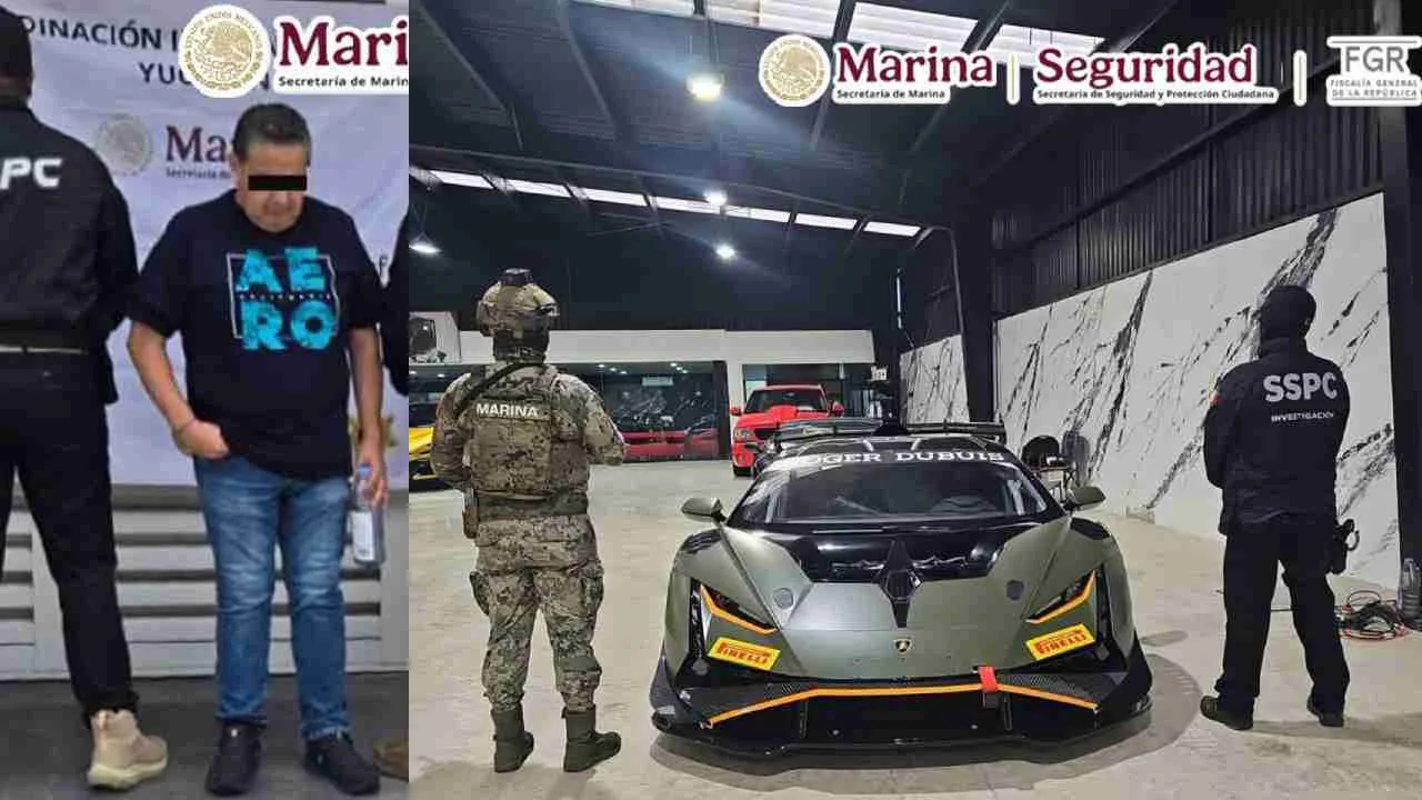 A row of high-end vehicles seized by Mexican authorities during an operation against the CJNG in Yucatán.