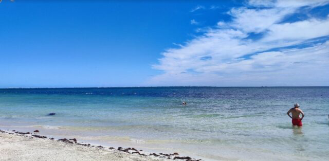 A tranquil beach scene with clear blue waters and a few people enjoying the sun. The shoreline is lined with light sand and some seaweed, under a bright blue sky with wispy clouds.$# CAPTION