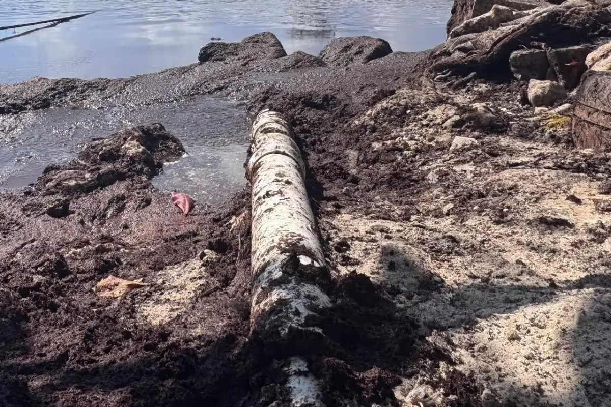 A pipe discharging wastewater on the beach in Playa del Carmen, exposed after sargasso was cleared