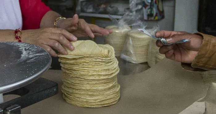 Fresh tortillas cooking on a traditional comal at a market stall in Quintana Roo
