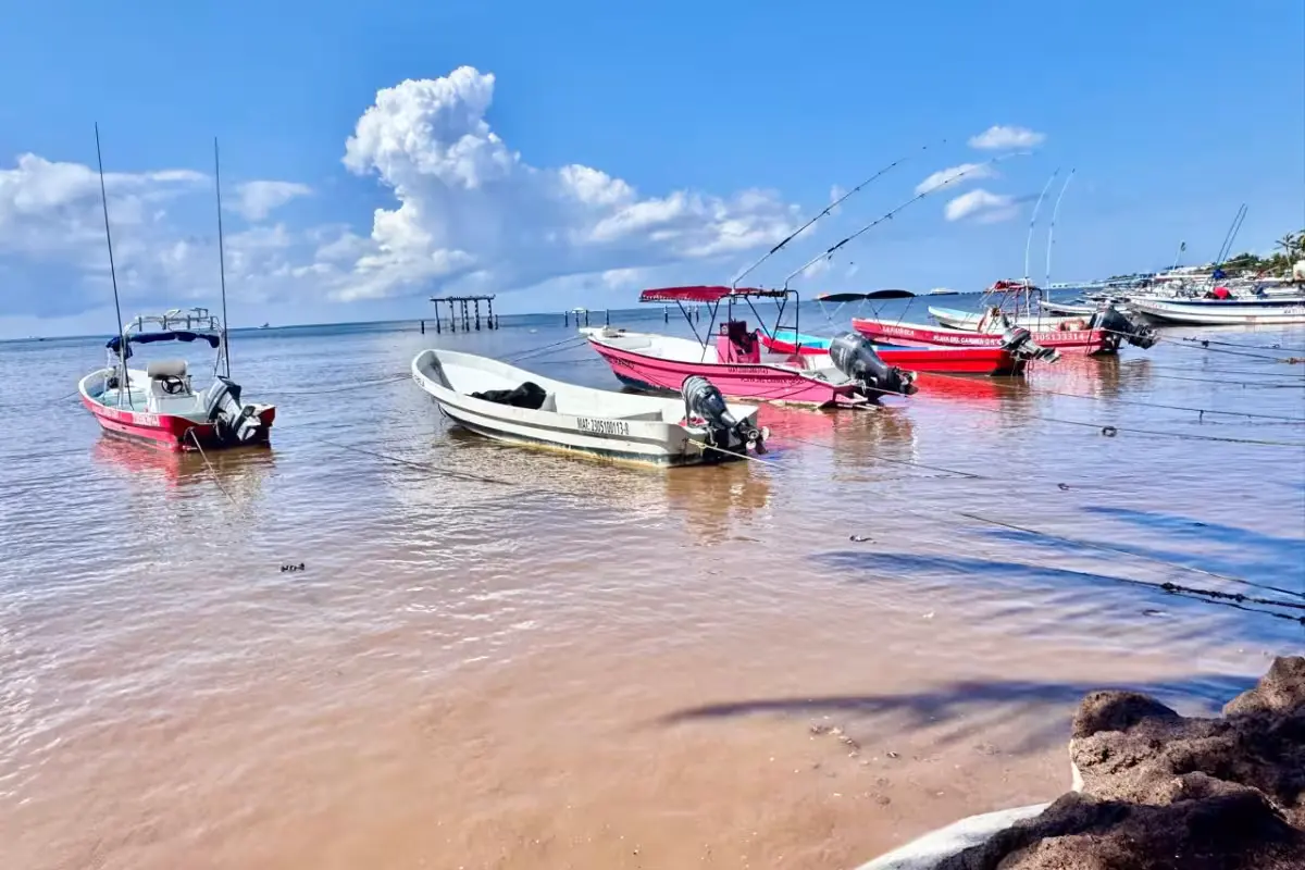 Tourists wading through murky water to board a boat in Playa del Carmen, with sargassum visible on the beach