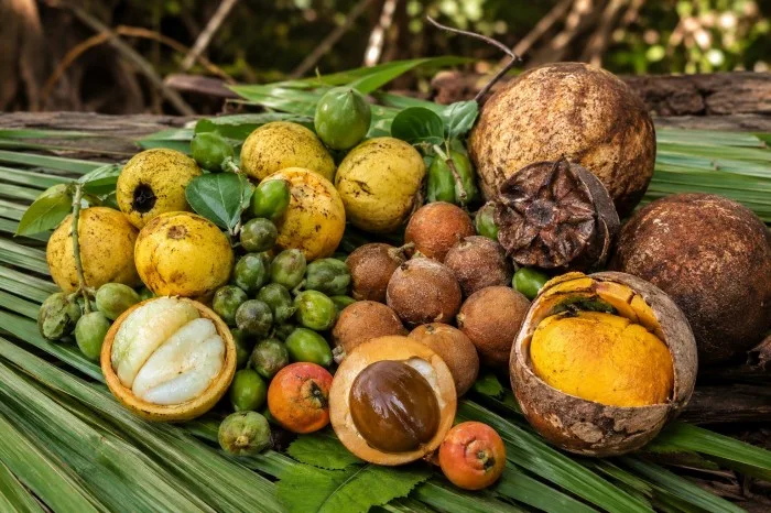 Assorted traditional fruits from the Maya Zone including snacché and nance displayed on a wooden table