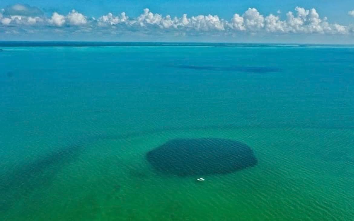 Aerial view of a deep blue circular sinkhole in the turquoise waters of Chetumal Bay
