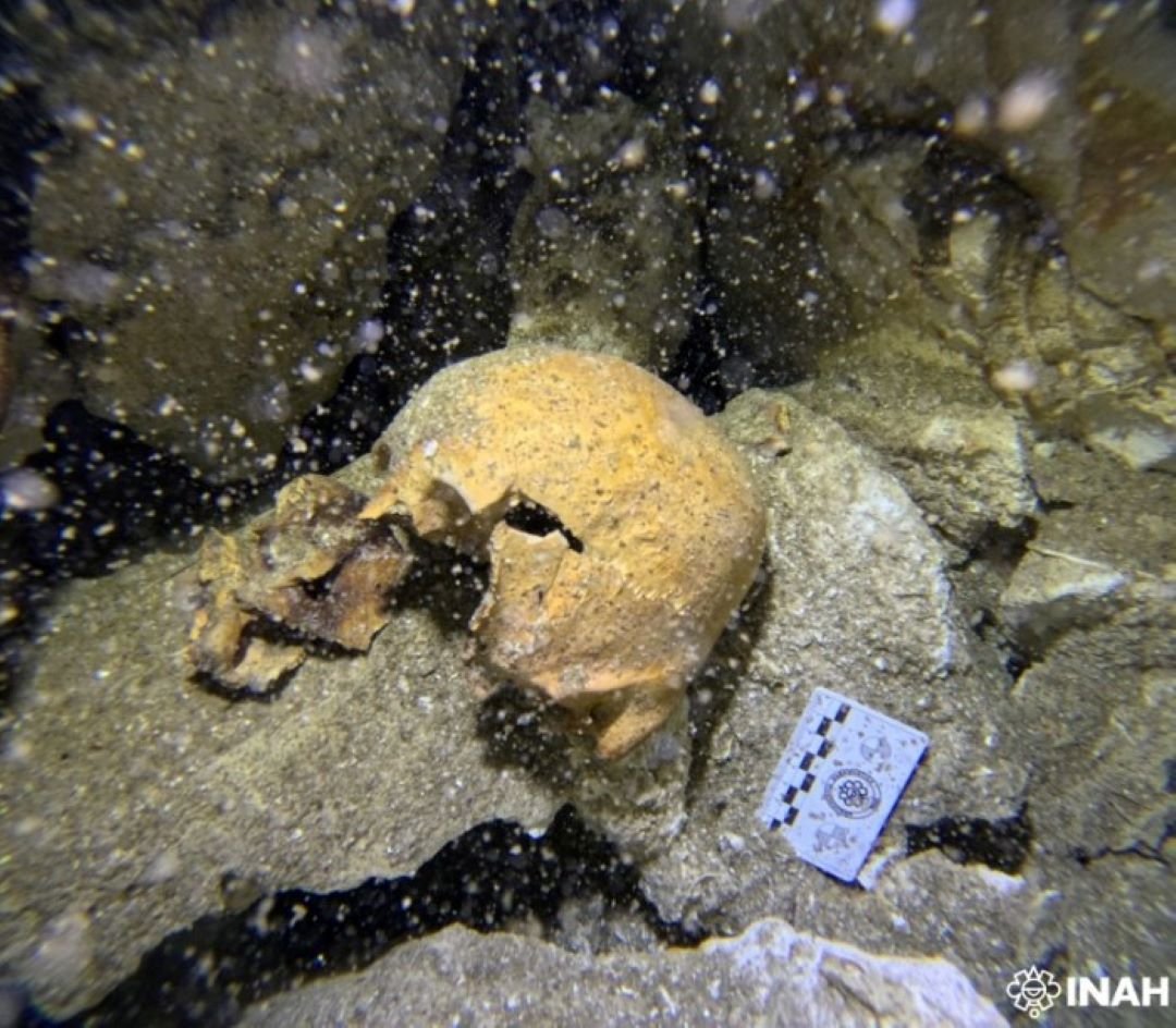 Underwater view of ancient human remains in a cenote in Playa del Carmen, Mexico