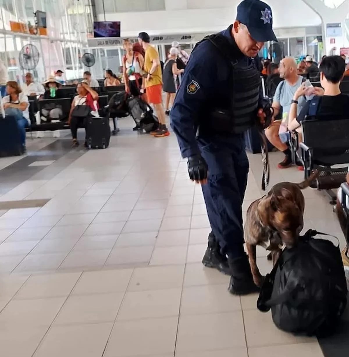 A police officer with a canine unit patrols outside the ADO bus terminal in Cancún.