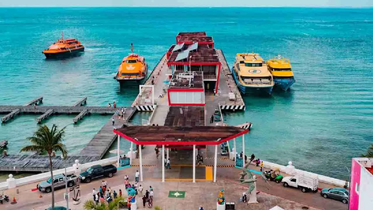 Vagner Elbiorn Vega, director of Apiqroo, speaks about the port authority's revenue growth.
