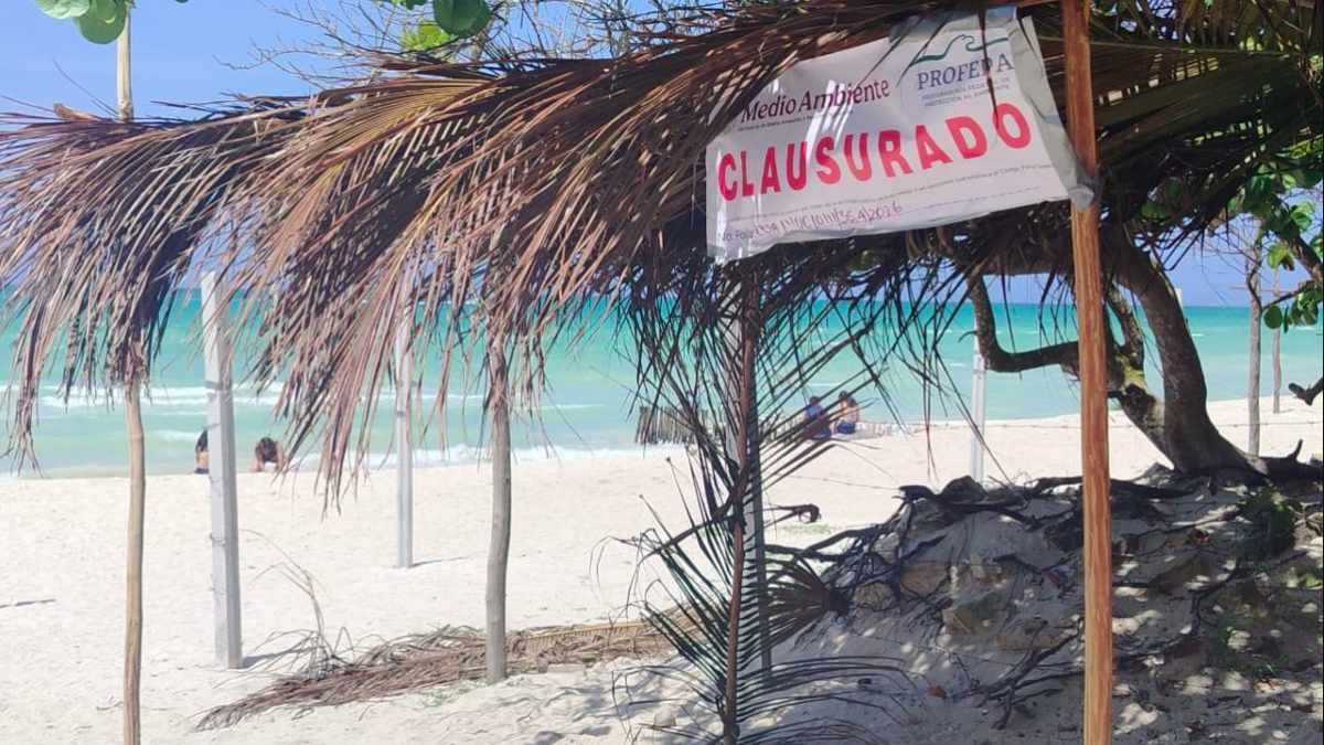 Closure seals on unauthorized palapas at Chuburná Puerto beach in Yucatán, Mexico