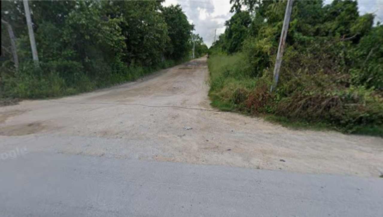 A narrow unpaved road runs through rural land near Campesinos Unidos in Playa del Carmen, Quintana Roo.