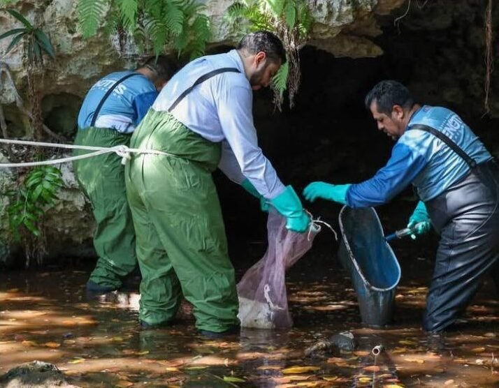 A polluted cenote in the Cancún urban area with debris visible in the water.