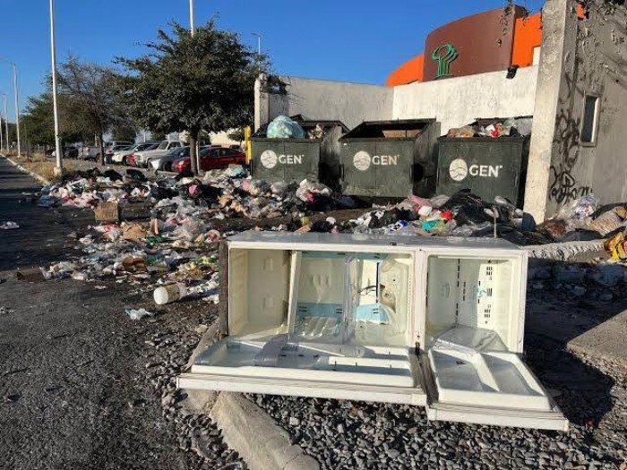 Municipal ecology inspectors review a property in Cancún.