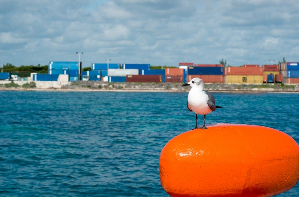 Cargo containers stacked at the port of Puerto Morelos in Quintana Roo