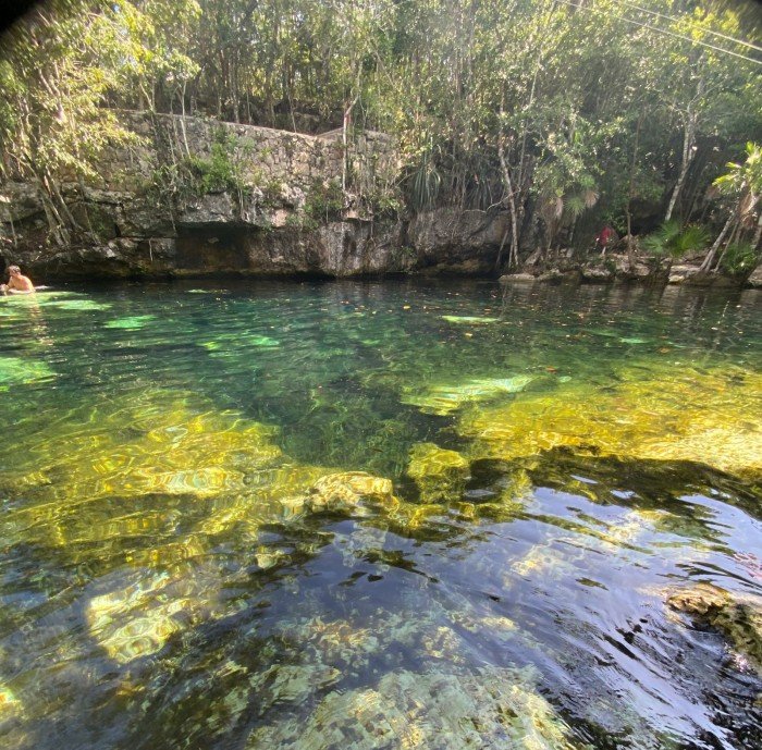 A contaminated urban cenote in Playa del Carmen, Quintana Roo, Mexico