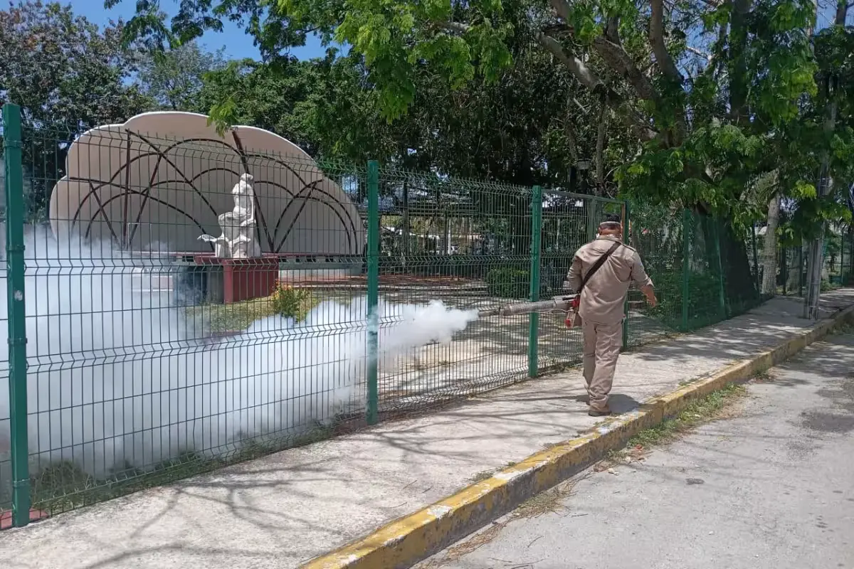 Health workers inspect an ovitrap in Cozumel to monitor mosquito activity in the San Miguel neighborhoods.