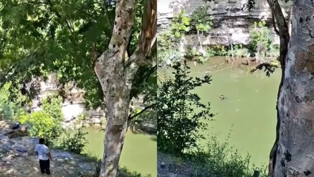 A dog is pulled from the water of the Sacred Cenote at Chichén Itzá by rescue workers.